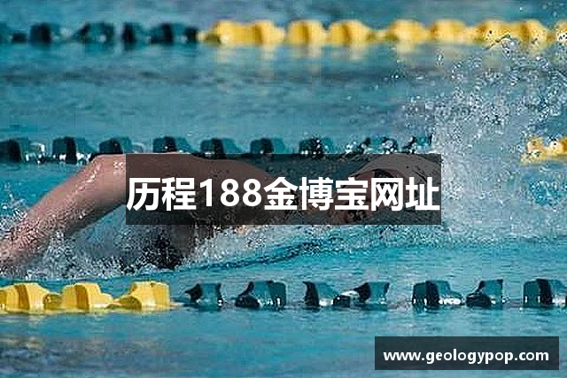 历程188金博宝网址